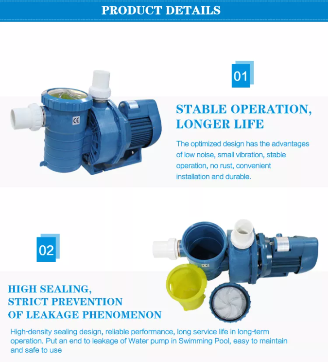 Commercial Pool Pump