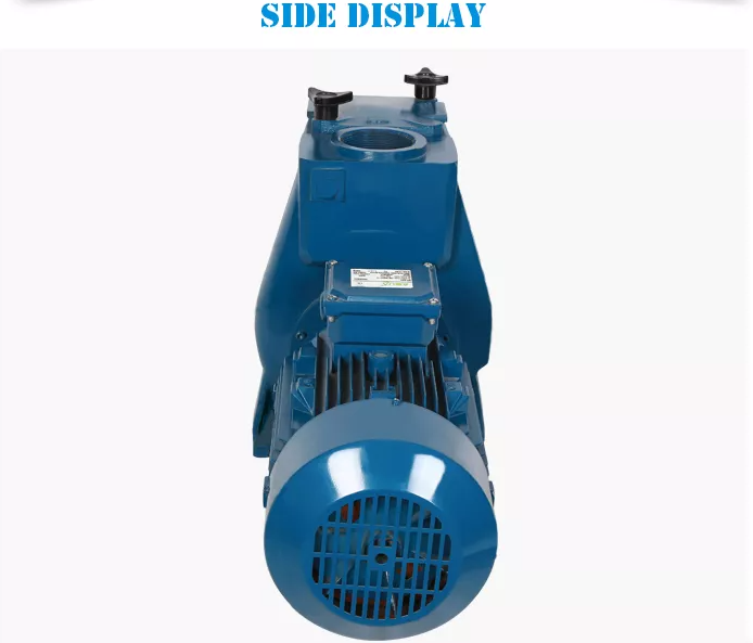 Pool Pump Wholesale