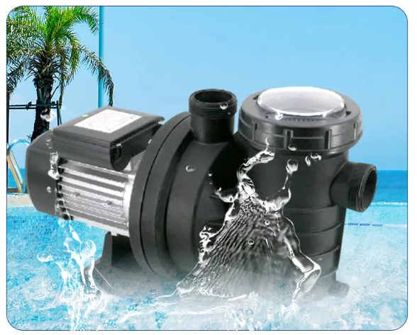 Pool Pump Wholesale